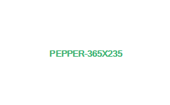Pepper(ペッパー)としゃべってみた！